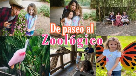 Zoologico jacksonville florida - Scorecard. Value 3.0. Facilities 4.0. Atmosphere 4.5. How we rank things to do. Sitting on the edge of the Trout River, about 7 miles north of downtown Jacksonville, the Jacksonville Zoo and ... 